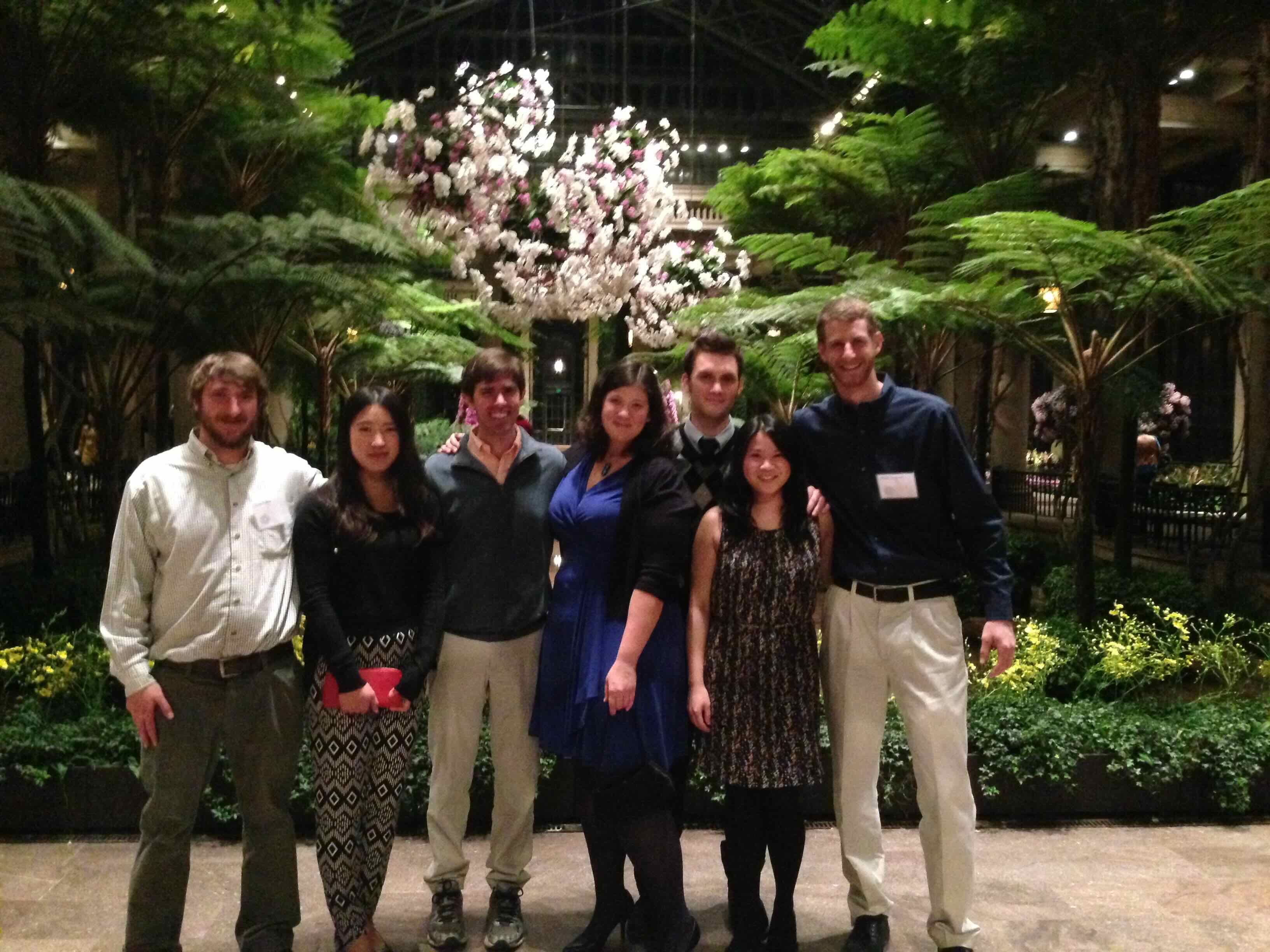 Interns at the conservatory