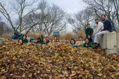 Playing in autumn leaves